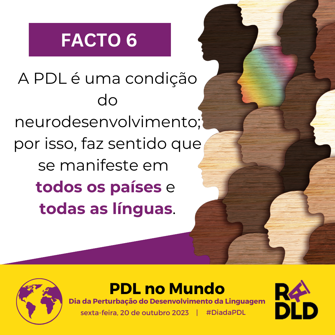 Facto 6